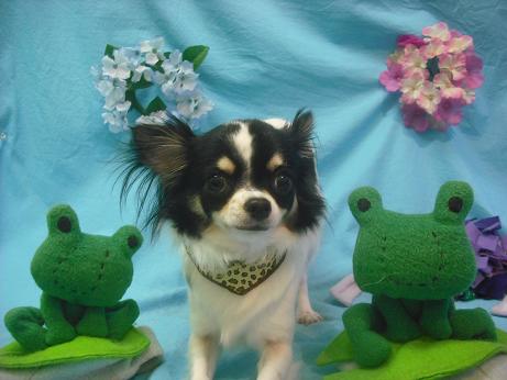 ファイル 4101-2.jpg