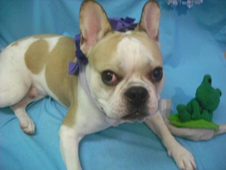 ファイル 4102-2.jpg