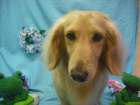 ファイル 4103-2.jpg