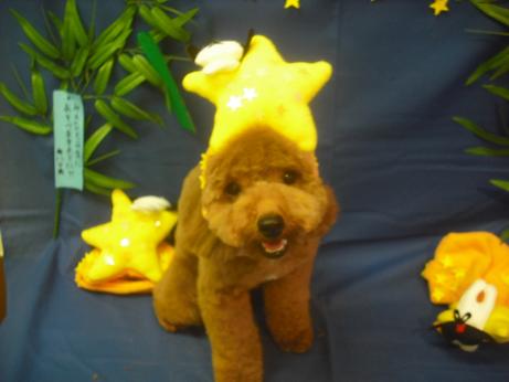 ファイル 4104-1.jpg