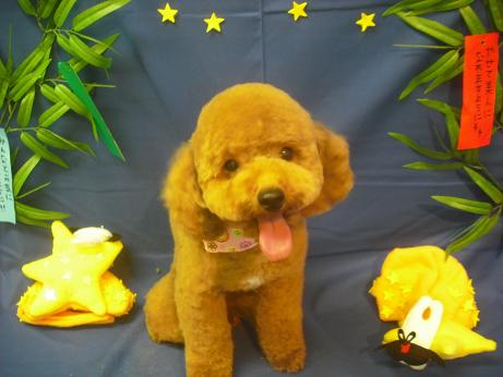 ファイル 4104-2.jpg