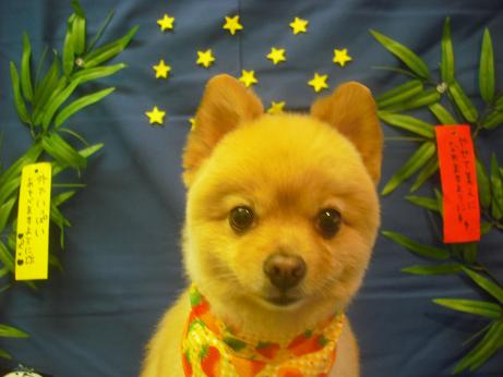 ファイル 4107-2.jpg