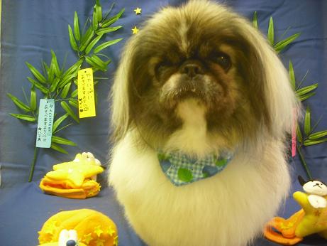 ファイル 4108-2.jpg