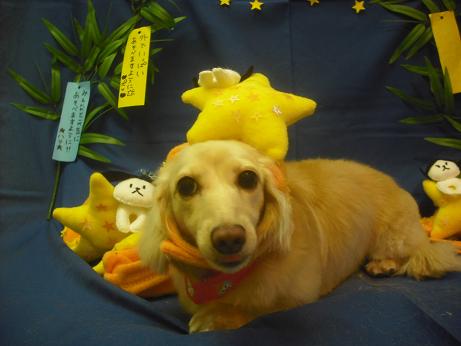 ファイル 4109-2.jpg