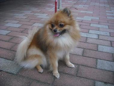 ファイル 411-2.jpg