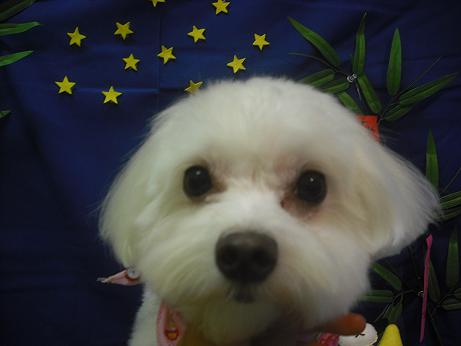 ファイル 4110-2.jpg