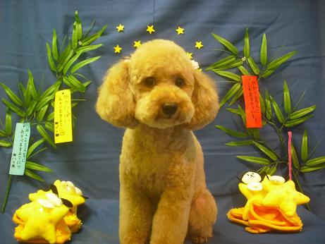 ファイル 4113-1.jpg