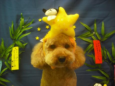 ファイル 4113-2.jpg