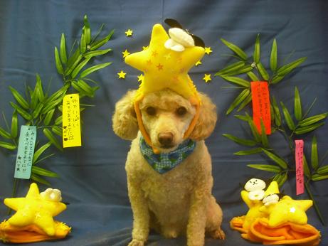 ファイル 4115-2.jpg