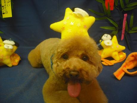 ファイル 4117-1.jpg