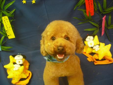 ファイル 4117-2.jpg