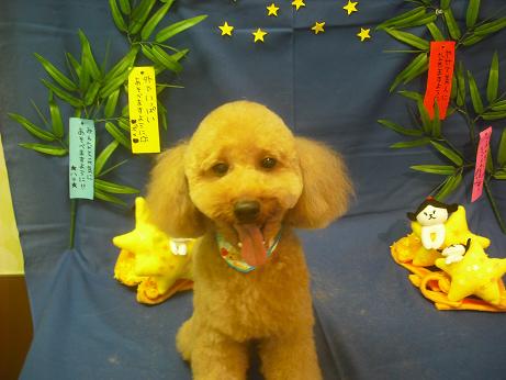 ファイル 4118-1.jpg