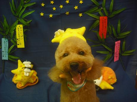 ファイル 4118-2.jpg