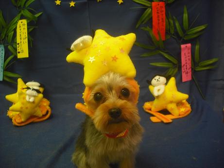 ファイル 4119-1.jpg