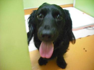 ファイル 412-1.jpg