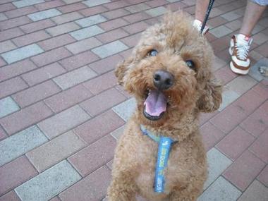 ファイル 412-2.jpg