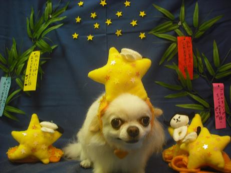 ファイル 4120-1.jpg