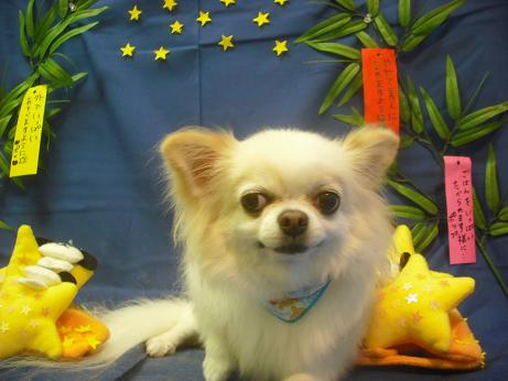 ファイル 4120-2.jpg