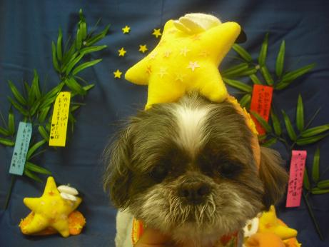 ファイル 4121-1.jpg