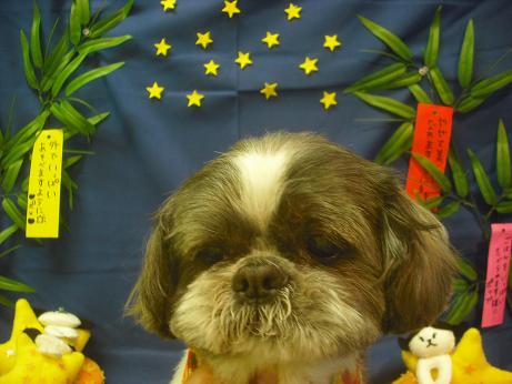 ファイル 4121-2.jpg