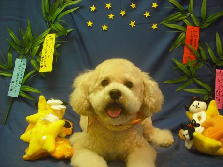 ファイル 4122-1.jpg