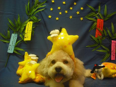 ファイル 4122-2.jpg