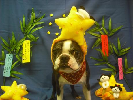 ファイル 4123-1.jpg