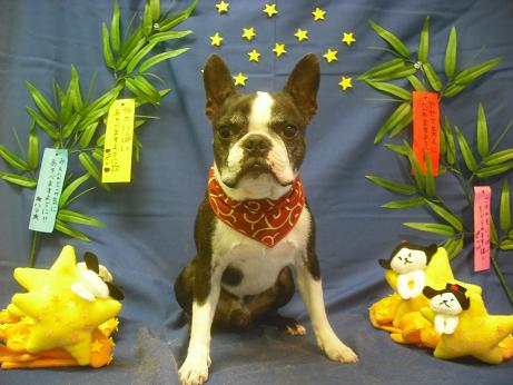 ファイル 4123-2.jpg