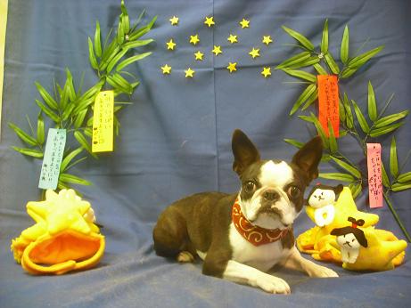 ファイル 4124-1.jpg