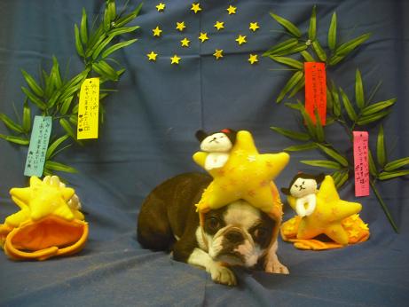 ファイル 4124-2.jpg