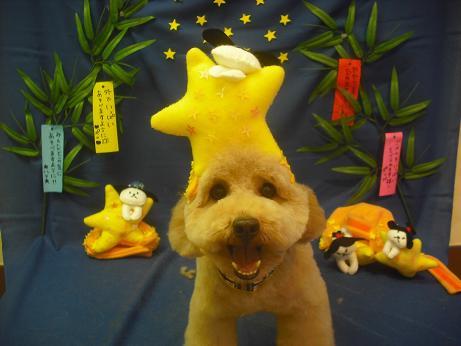 ファイル 4125-1.jpg