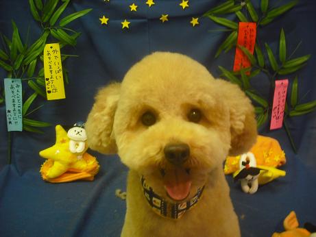 ファイル 4125-2.jpg