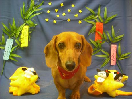 ファイル 4126-2.jpg