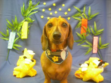 ファイル 4127-2.jpg