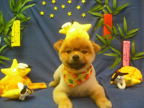 ファイル 4128-1.jpg