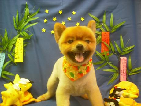 ファイル 4128-2.jpg