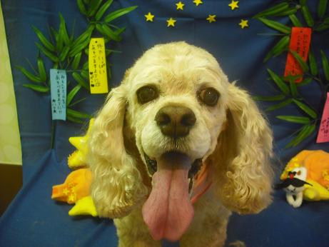 ファイル 4129-1.jpg