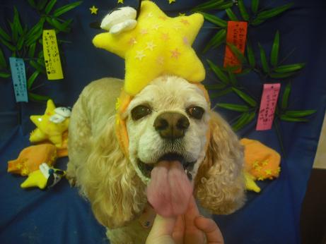 ファイル 4129-2.jpg