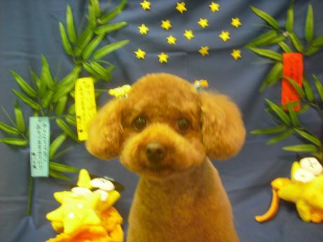 ファイル 4130-1.jpg