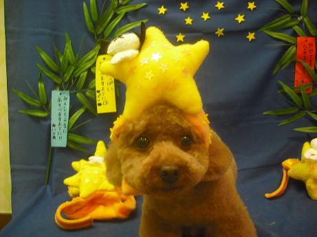 ファイル 4130-2.jpg