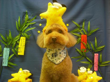 ファイル 4131-1.jpg