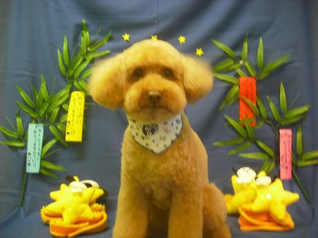 ファイル 4131-2.jpg