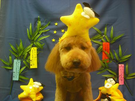 ファイル 4132-1.jpg