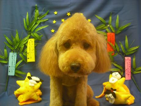 ファイル 4132-2.jpg