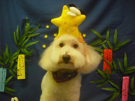 ファイル 4133-1.jpg