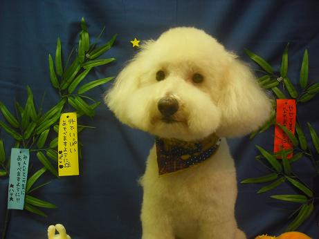 ファイル 4133-2.jpg