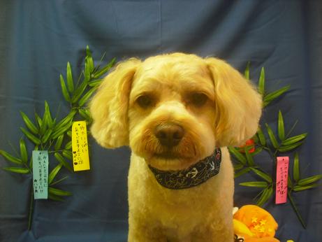 ファイル 4134-2.jpg