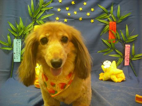 ファイル 4136-2.jpg