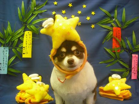 ファイル 4137-1.jpg