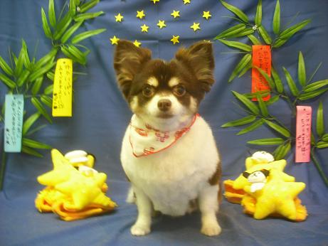 ファイル 4137-2.jpg